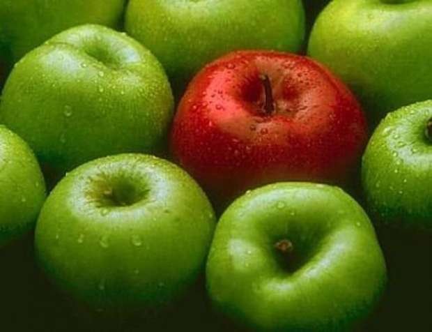 manzanas propiedades y beneficios