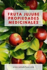 fruta jujube propiedades medicinales