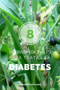diabetes hierbas medicinales