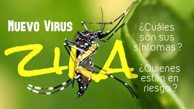 virus zika sintomas