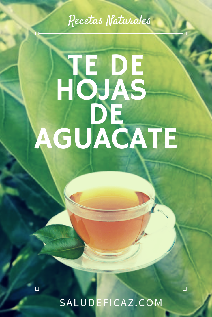 Té de Hoja de Aguacate: ¿Un Remedio Natural para la Presión Arterial?