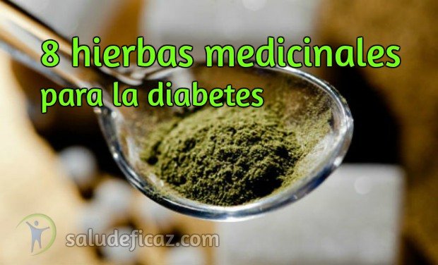 8 hierbas medicinales para la diabetes